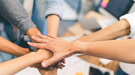 Professional Partners